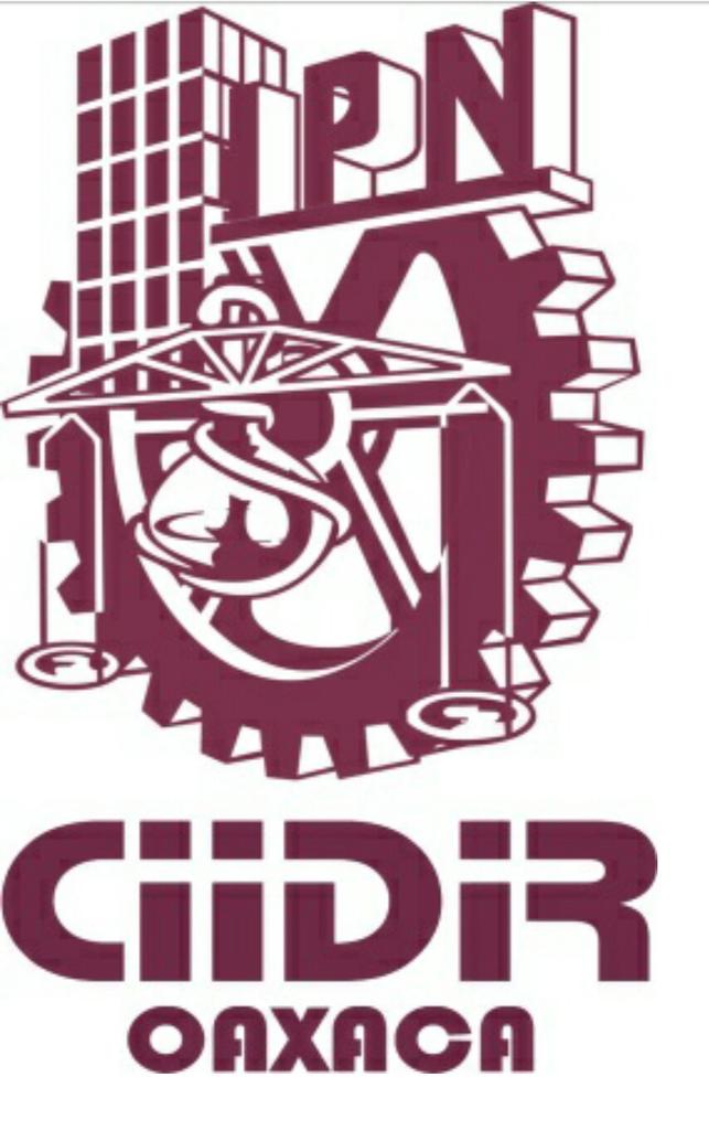 Logo IPN CIIDIR Oaxaca